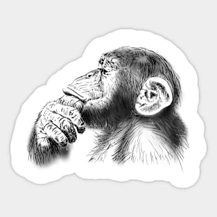 Monkey Sticker